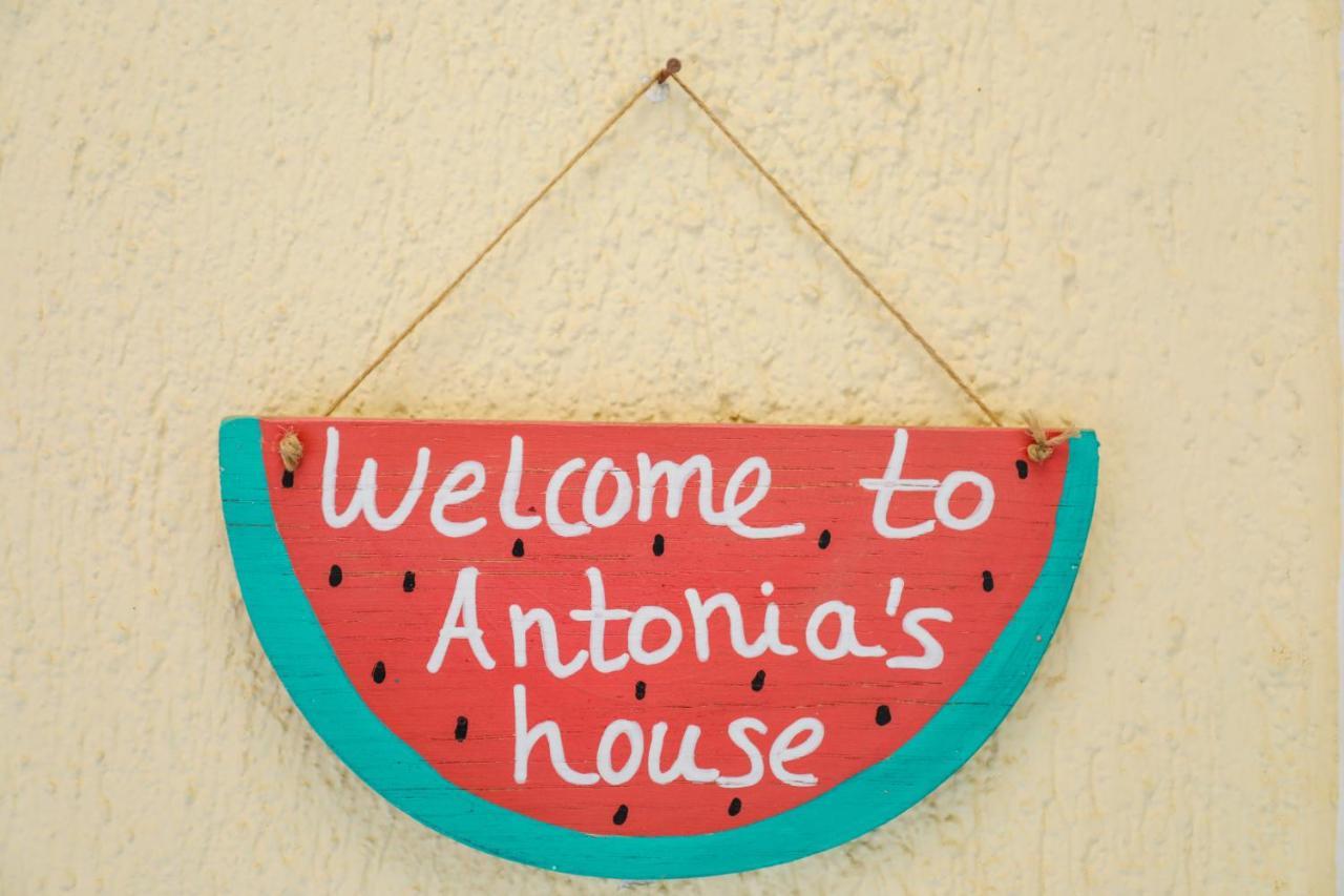 スキアトスタウンAntonia Houseアパートメント エクステリア 写真